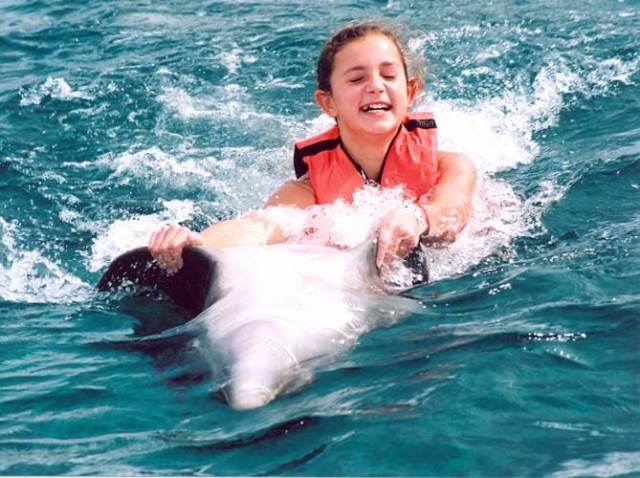 Dolphin_Cove_Jamaica_belly-ride_2556038393_o.jpg